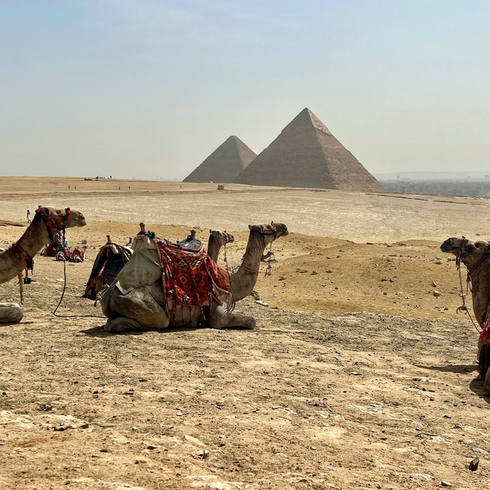 hurghada travel service