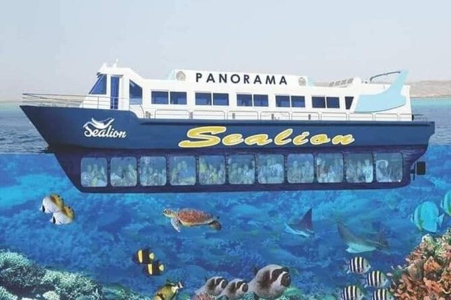 Panorama Semi-Submarine Cruise: Underwater Show & Snorkeling Stop